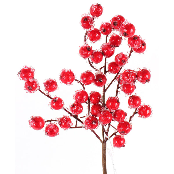 Tige de pommettes rouges givrées 12"