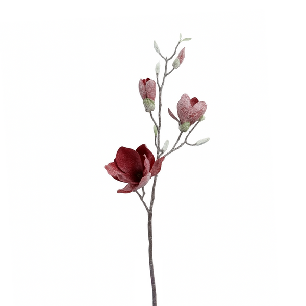 Tige magnolia givré rouge 32"