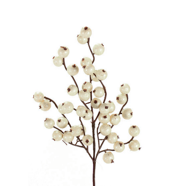 Tige de pommettes mélangées ivoire 12"