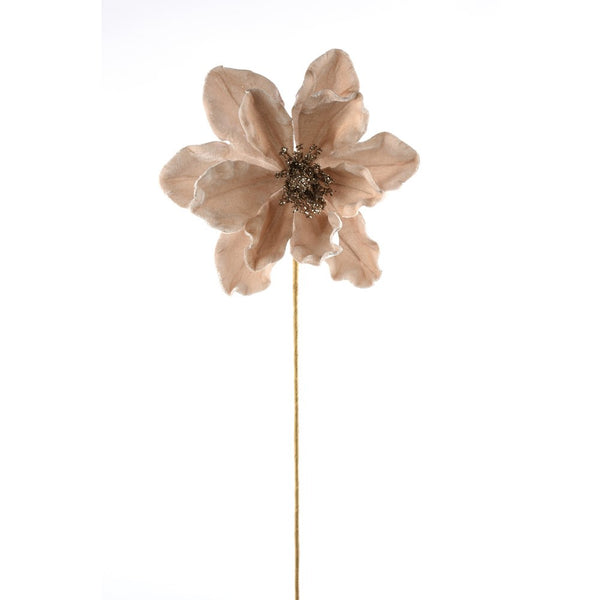 Tige de magnolia en velours champagne 20"