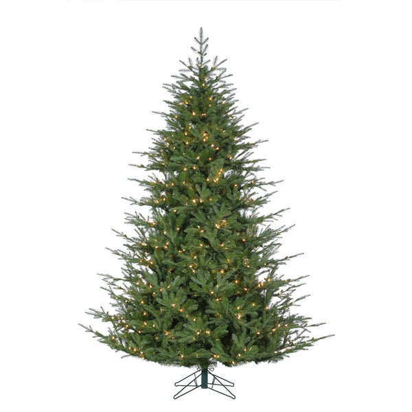 Sapin London