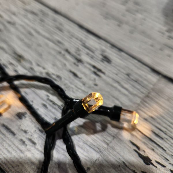 Lumières scintillantes DEL blanc chaud, fil vert, 98,1'