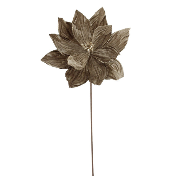 Tige de poinsettia en velours pailleté chocolat 22"