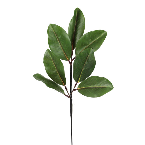 Tige de feuillage de magnolia vert naturel 24"