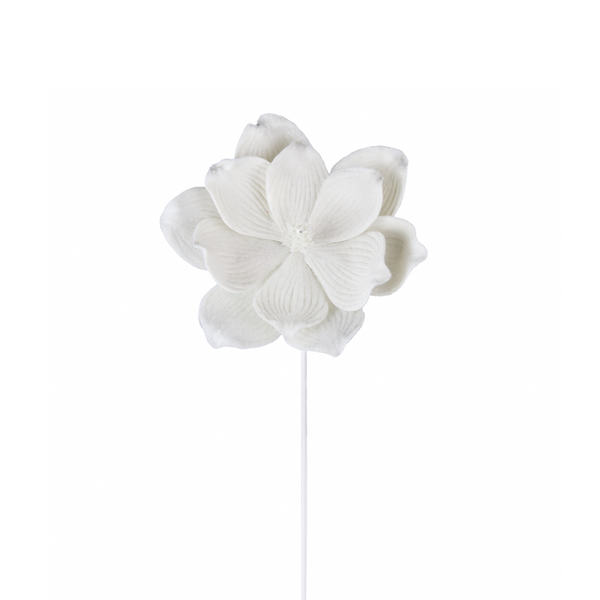 Tige de magnolia ivoire 22"