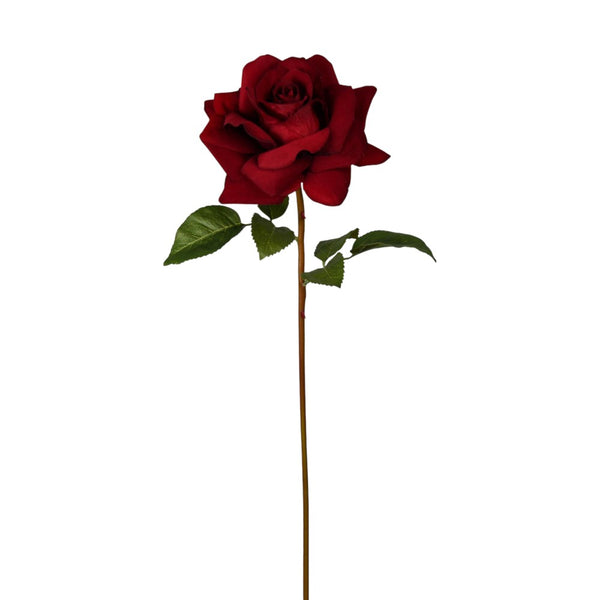 Tige de rose naturelle bourgogne 22"