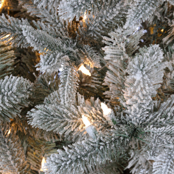 Sapin Helsinki