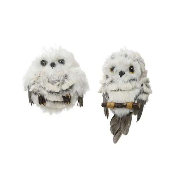 Harfang des neiges