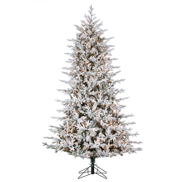 Stockholm Tree with 1000 Lights, 9' x 66"