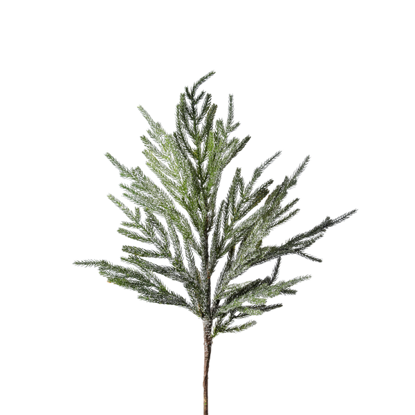 Frosted Norfolk Pine Branch 30"