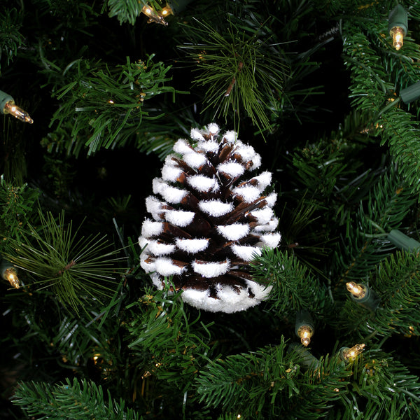 Ornement pomme de pin naturelle neige 4''