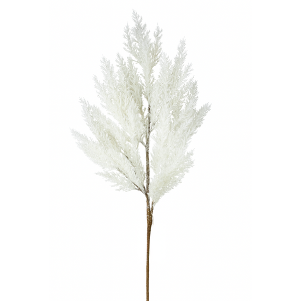 Tige de cèdre crème 30"
