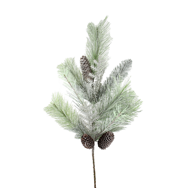Tige de pin givré avec pomme de pin verte 31"