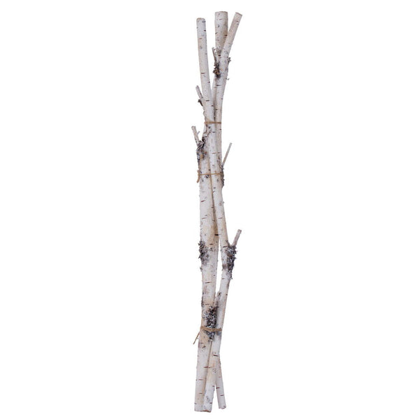Branches de bouleau 36"