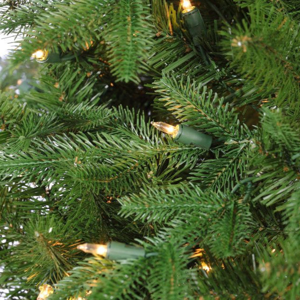 Sapin Rome