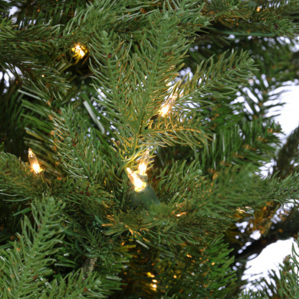 Sapin London