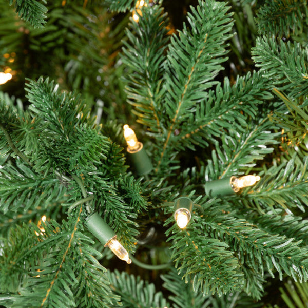 Sapin Mont Mégantic