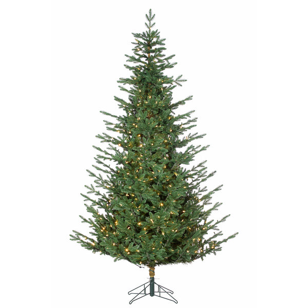 Sapin Mont Mégantic