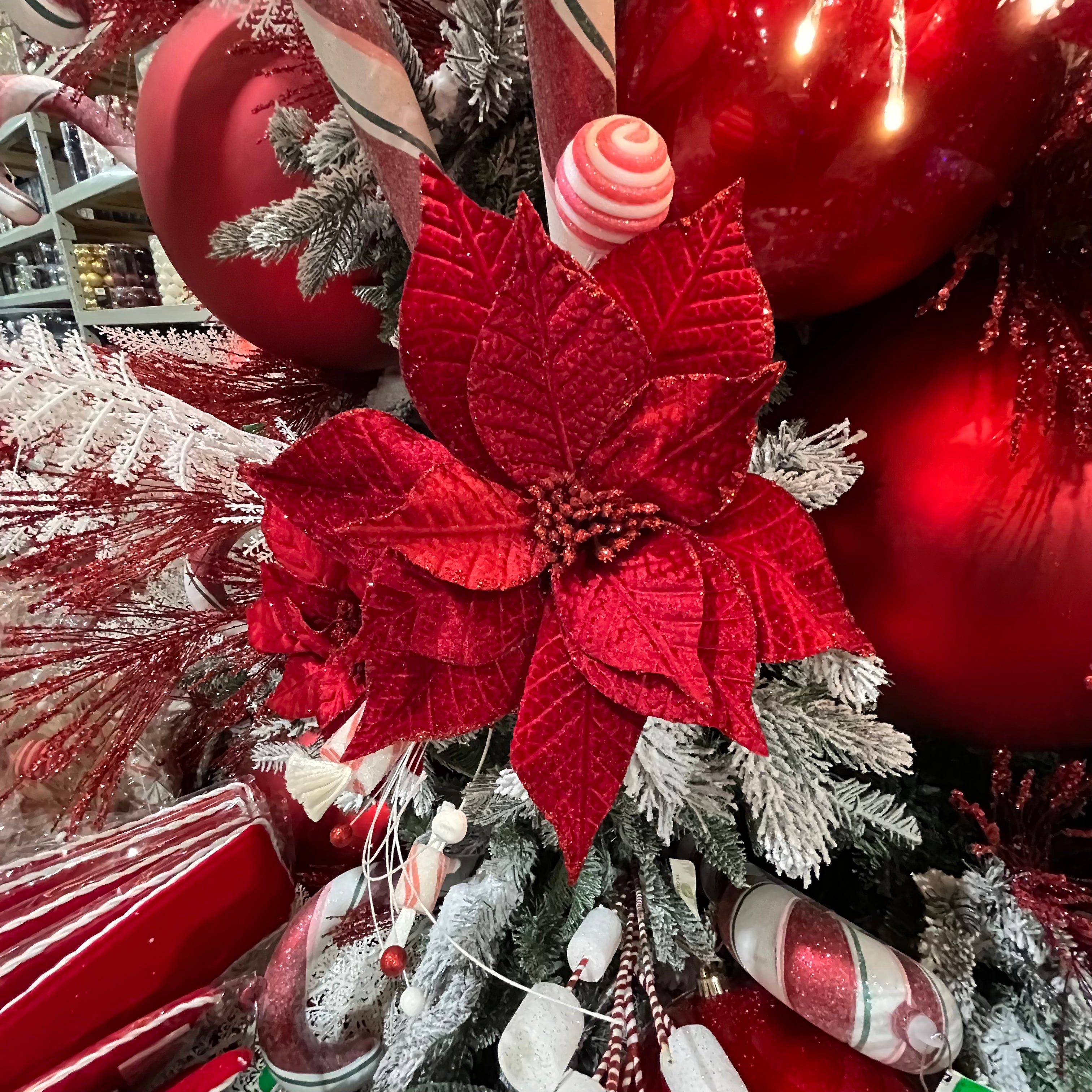 Tige de poinsettia en velours rouge 22"