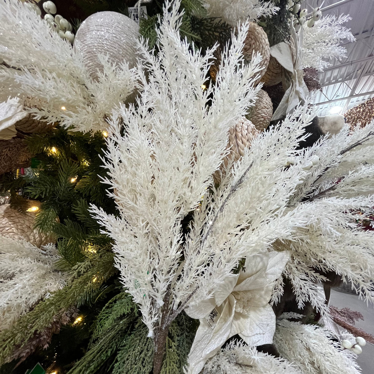 Tige de cèdre crème 30"