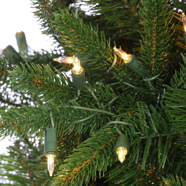 Sapin Paris