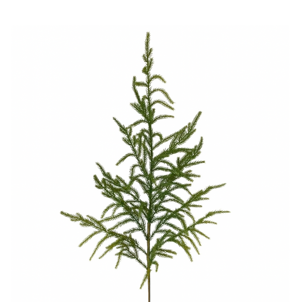 Tige de pin de Norfolk toucher naturel 38"