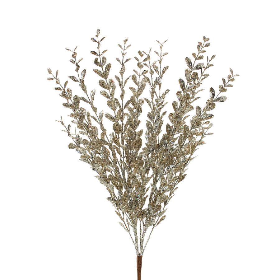 Glittery boxwood bush