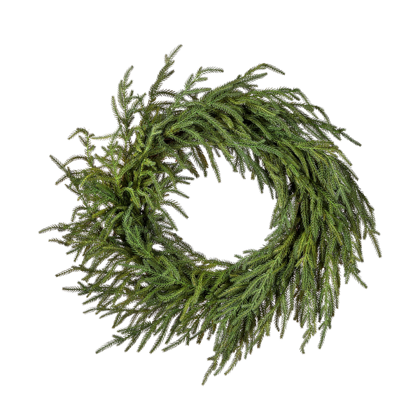Couronne pin de Norfolk fraîchement coupée 24"