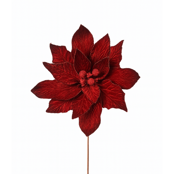 Tige de poinsettia en présentation 19"D x 30"H
