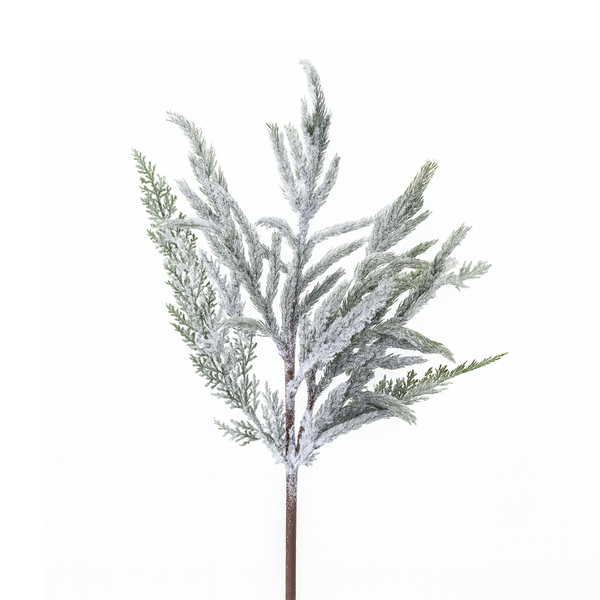 Norfolk Pine Stem with Realistic Snow 24