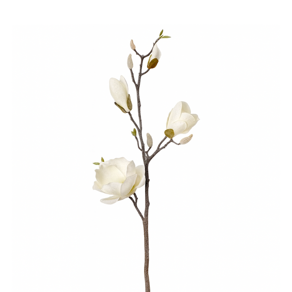 Tige de magnolia givrée 32"