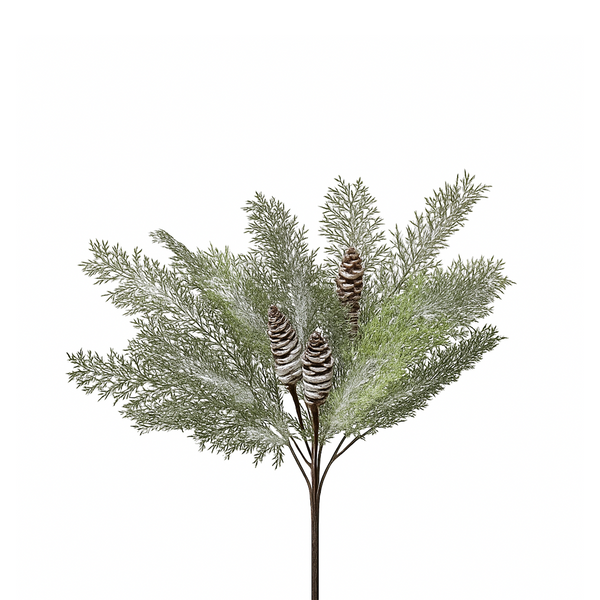 Tige d’acacia hivernale avec cône 19"