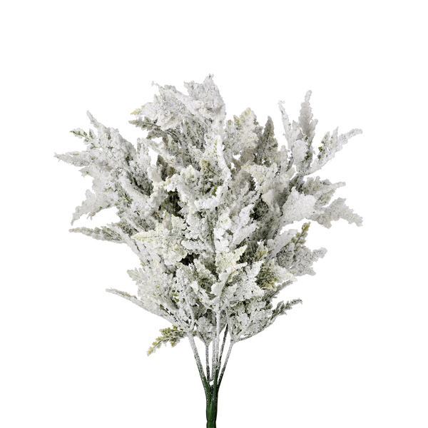 Buisson de cèdre enneigé givré 19"