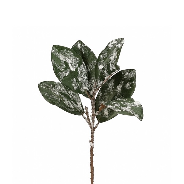 Tige de magnolia enneigé scintillant 20"