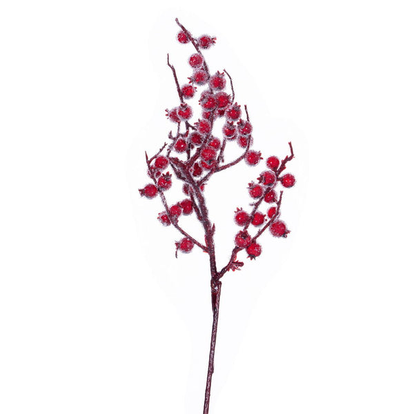 Tiges de baies rouges givrées 14"