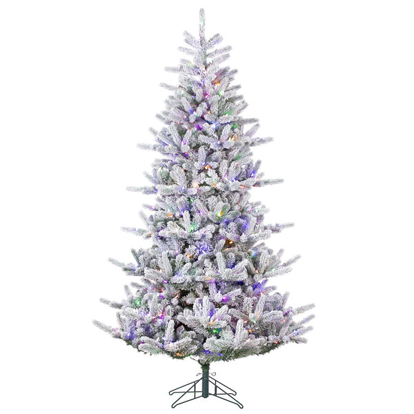 Sapin Mont Tremblant