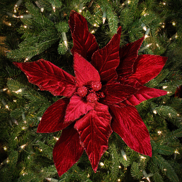 Tige de poinsettia en présentation 19