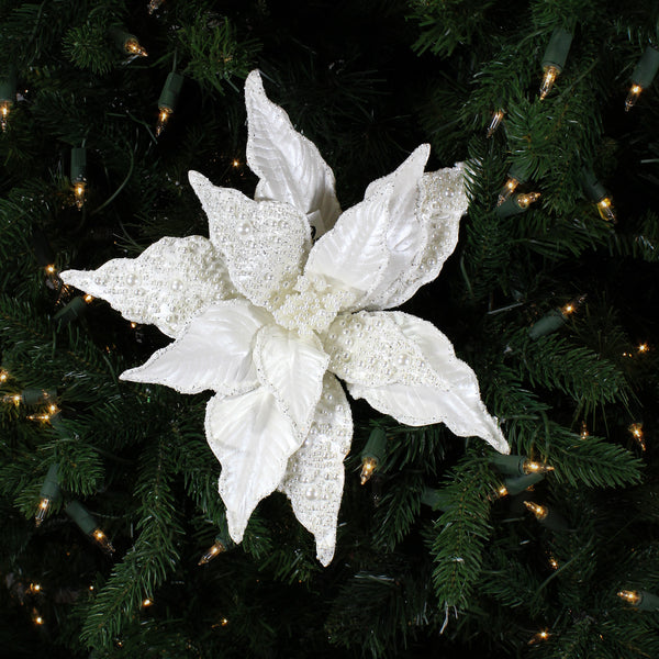 Tige de poinsettia 17