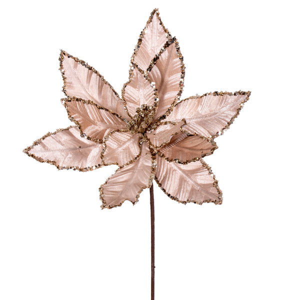 Tige de poinsettia velours champagne 24"