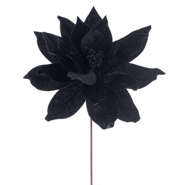 Tige de poinsettia noir 21,5" fleur 18"