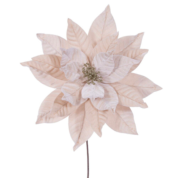 Tige de poinsettia champagne 21,5" fleur 12"