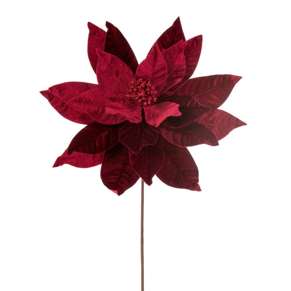 Tige de poinsettia bourgogne 21,5" fleur 18"