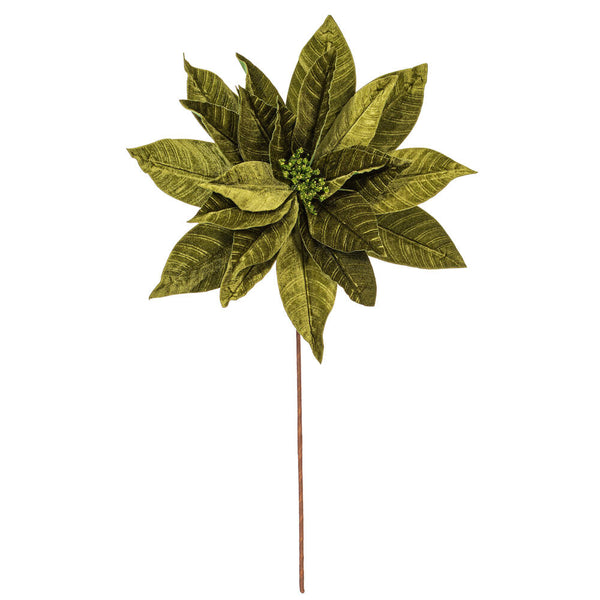 Tige de poinsettia vert lime 21,5" fleur 18"