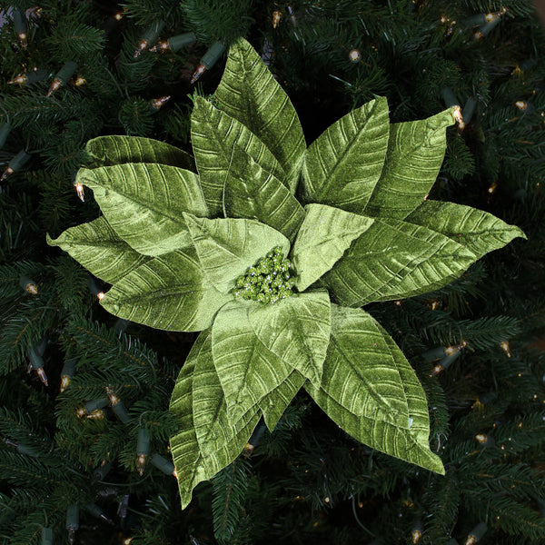 Tige de poinsettia vert lime 21,5