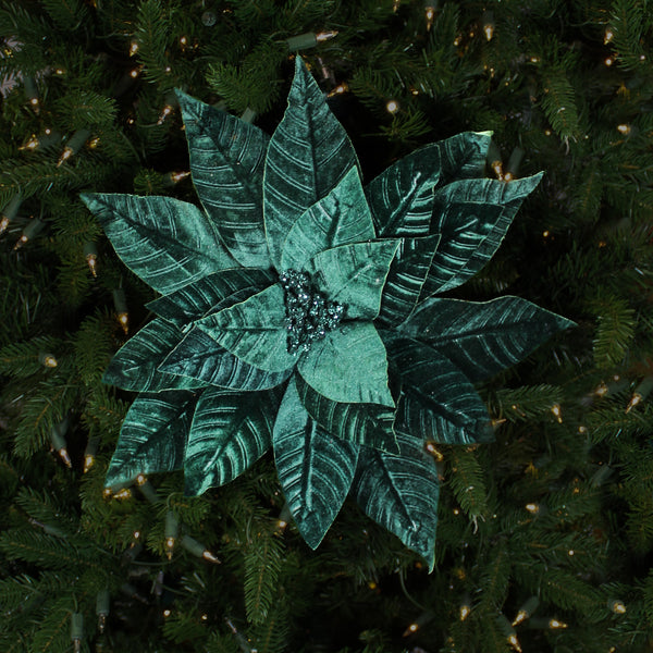 Tige de poinsettia vert minuit 21,5
