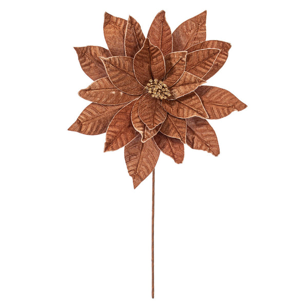 Tige de poinsettia mocha 21,5" fleur 18"