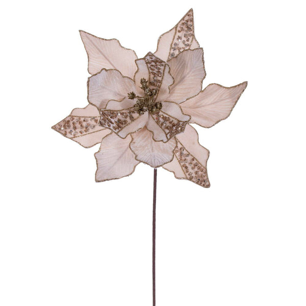 Tige de poinsettia velours champagne 20" fleur 10"