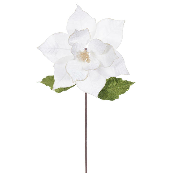 Tige de poinsettia velours crème 20" fleur 12"