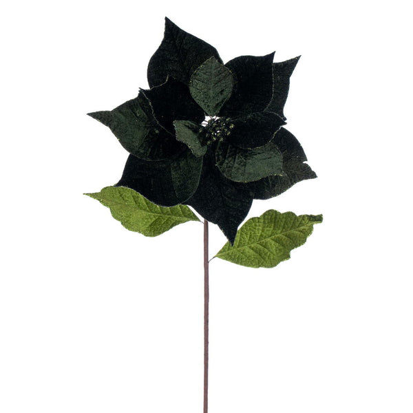 Tige de poinsettia crème 20" fleur 12"