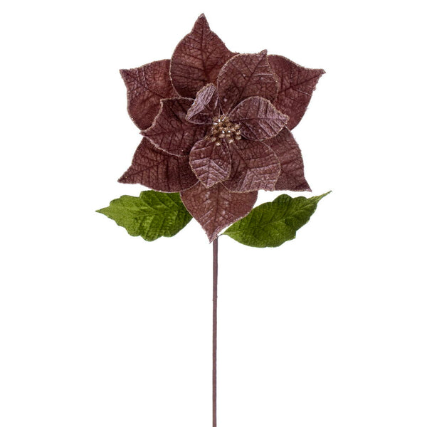 Tige de poinsettia mocha 20" fleur 12"